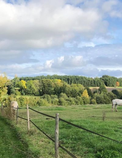 gite-lapauseduperche-paysages-percherons