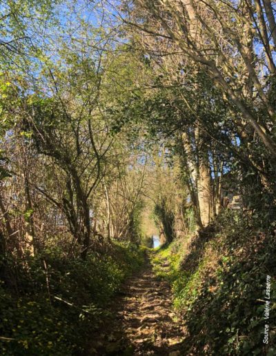 paysage perche - chemins-creux